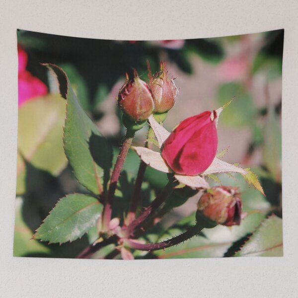 Item preview, Rosebud designed and sold by Maggie Reynolds.