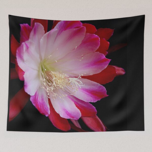 Item preview, No Country Bumpkin Here designed and sold by Michael May.