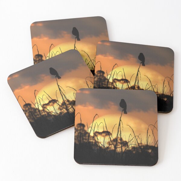 Item preview, Pássaro no Por do Sol. designed and sold by Marcel Caram.