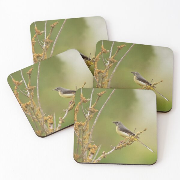 Item preview, Wagtail waiting  designed and sold by miradorpictures.