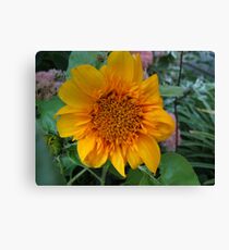 Sunny Flowers Canvas Print
