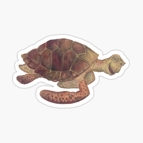 Nemo Turtle Stickers For Sale Redbubble Nemo Turtle Stickers For Sale Redbubble