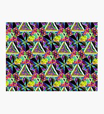Honeycomb 1 B Photographic Print