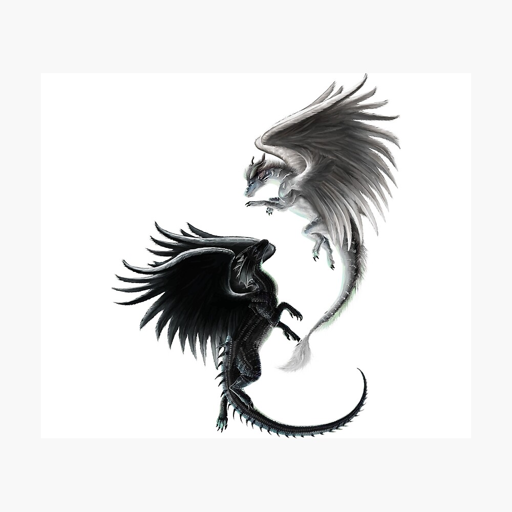 Black And White Dragons With Angel Wings Poster By Dragonsangels Redbubble