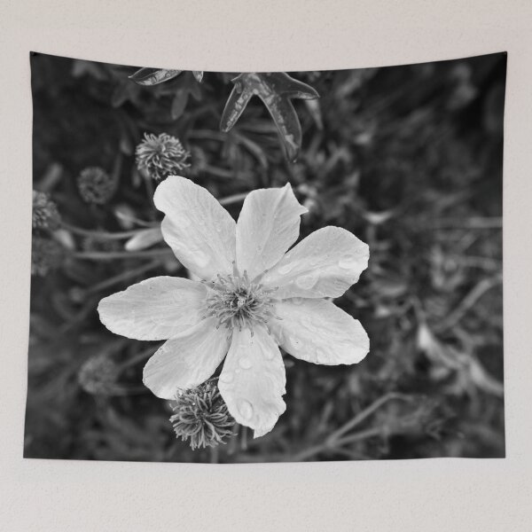 Item preview, White Clematis in black and white designed and sold by KateMcCSeattle.