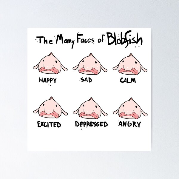 Blob Fish Poster for Sale by SillyFun