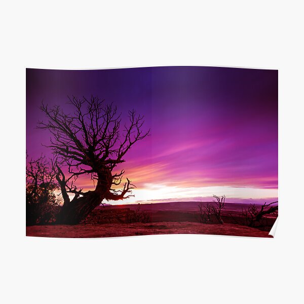 The Beckon Tree Poster