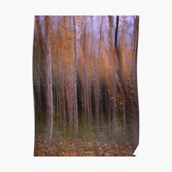 Autumn Colours Poster