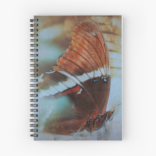 Item preview, Butterfly on Abstract Background designed and sold by Eduardo Tavares.