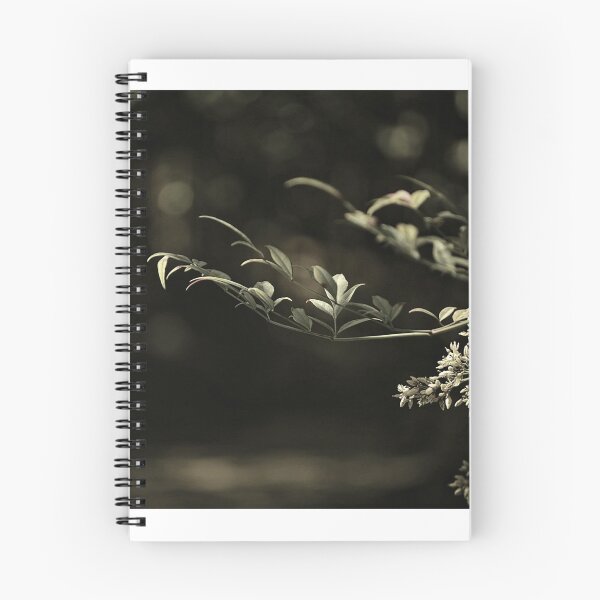 Item preview, Leaves of Light designed and sold by pacontrer.