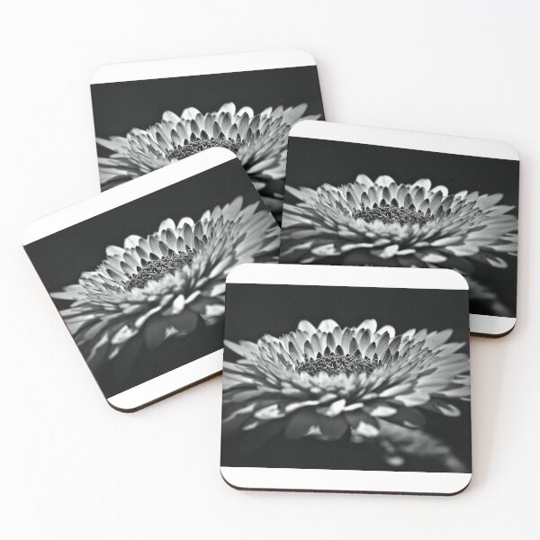 Item preview, Mr. Demille, I'm ready for my close up! designed and sold by pacontrer.