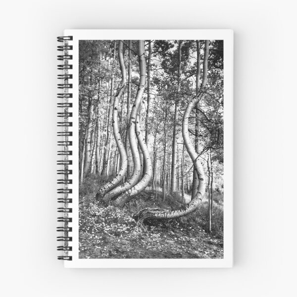 Item preview, Curved Aspens designed and sold by nbrandsberg.