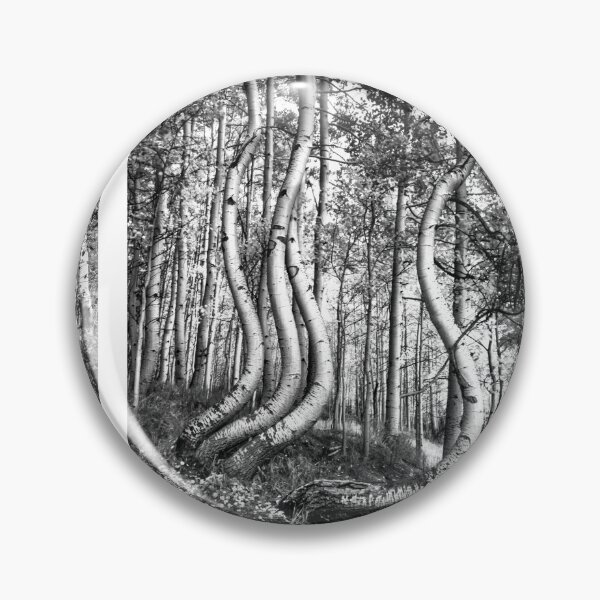 Item preview, Curved Aspens designed and sold by nbrandsberg.
