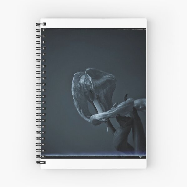 Item preview, A Study in Death designed and sold by pacontrer.