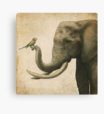 A New Friend (colour option) Canvas Print