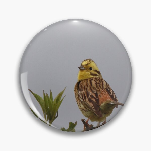 Item preview, Lookout designed and sold by miradorpictures.