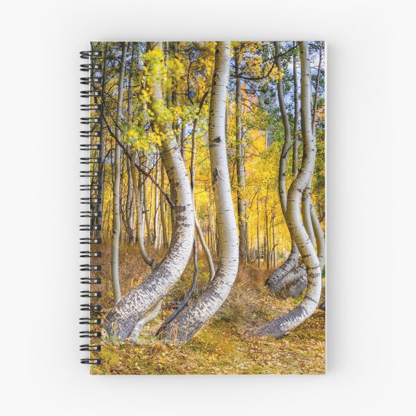 Item preview, Telluride Curved Aspens designed and sold by nbrandsberg.