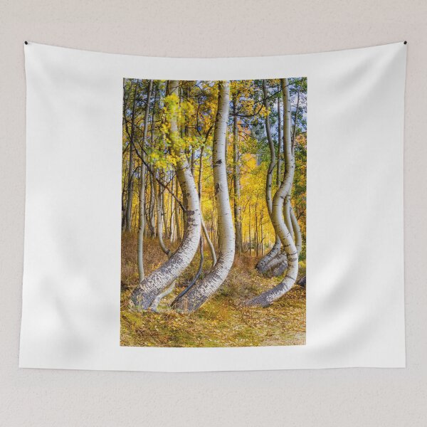 Item preview, Telluride Curved Aspens designed and sold by nbrandsberg.