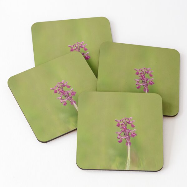 Item preview, Green winged orchids blooming early designed and sold by miradorpictures.
