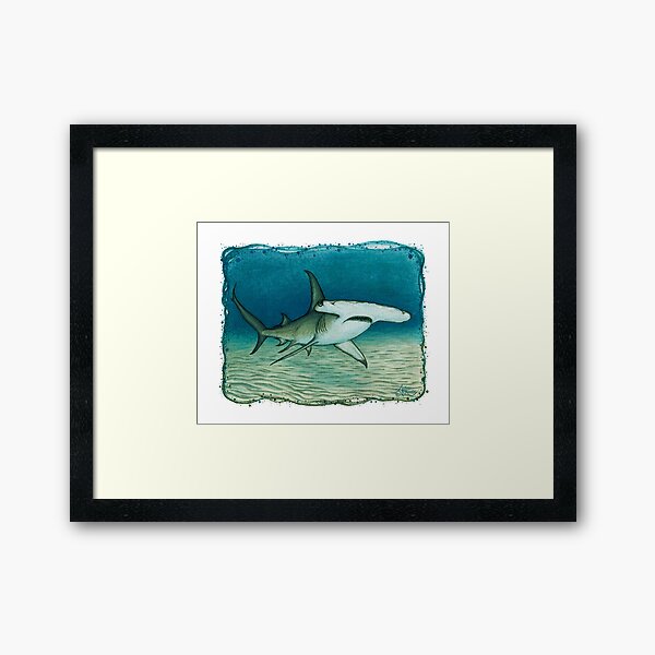"Great Hammerhead Shark" by Amber Marine ~ watercolor painting, art © 2016 Framed Art Print