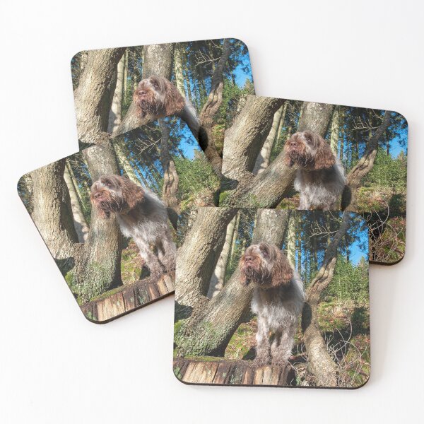 Artikelvorschau, Im Wald Spinone von heidiannemorris entworfen und verkauft von FOLK ART FUSION by heidiannemorris.