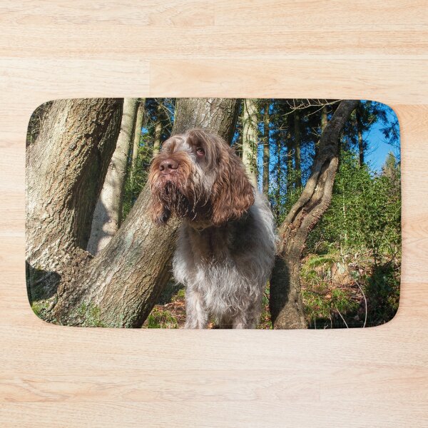 Item preview, In the woods Spinone by heidiannemorris designed and sold by FOLK ART FUSION by heidiannemorris.