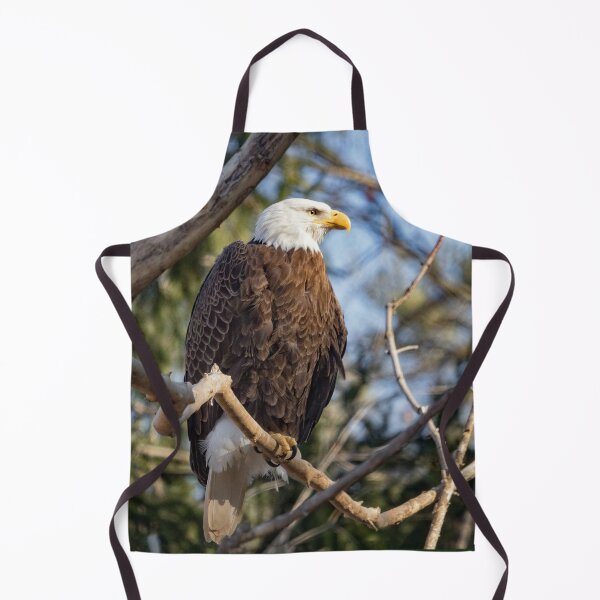 Item preview, American Bald Eagle designed and sold by KPcaptures.