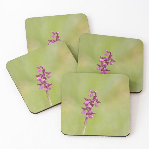 Item preview, Gorgeous green winged orchids designed and sold by miradorpictures.