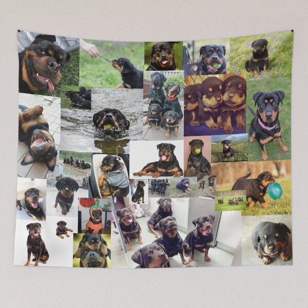 Item preview, Rottweiler dog collage designed and sold by Yviemakes.