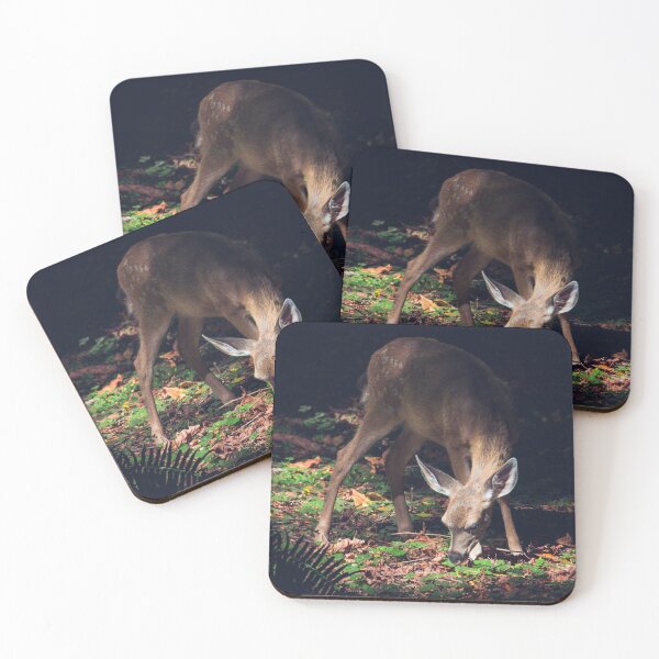Item preview, White-tailed deer in Muir Woods California designed and sold by Simon Charbonneau.