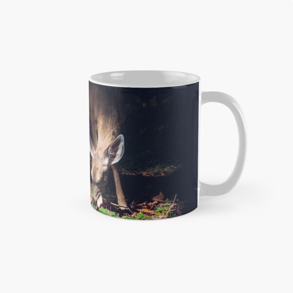 Item preview, White-tailed deer in Muir Woods California designed and sold by Simon Charbonneau.