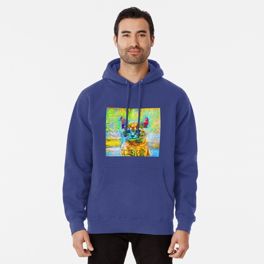 Abstractions of abstract abstraction of cat Pullover Hoodie