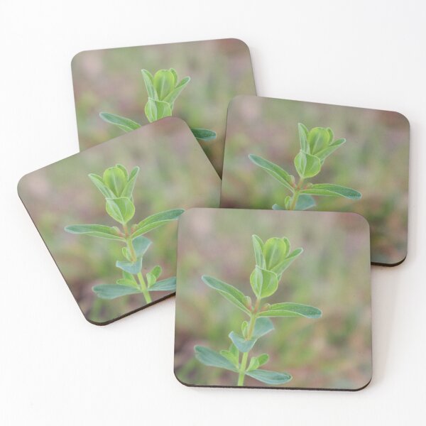 Item preview, Weed in the garden designed and sold by PeppaThePenguin.