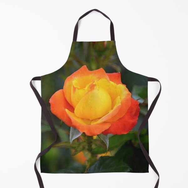 Item preview, Flaming Orange and Yellow Rose  designed and sold by ReneeKennedy.