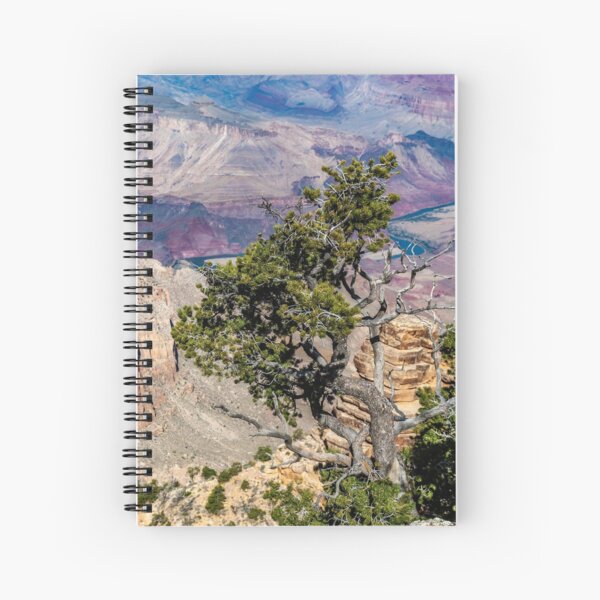Twisted Tree Above the Colorado Spiral Notebook