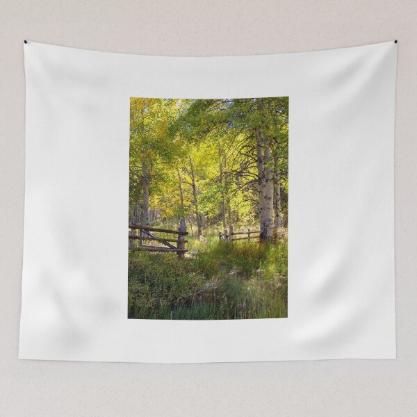Item preview, Aspen Forest Glow designed and sold by nbrandsberg.