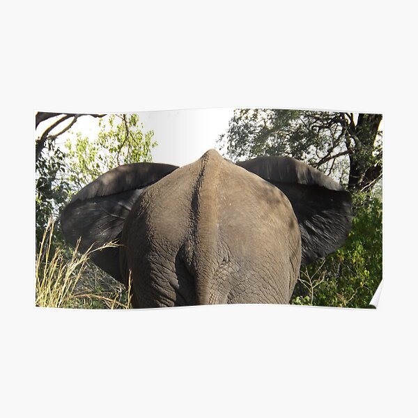 A Rear View! Poster