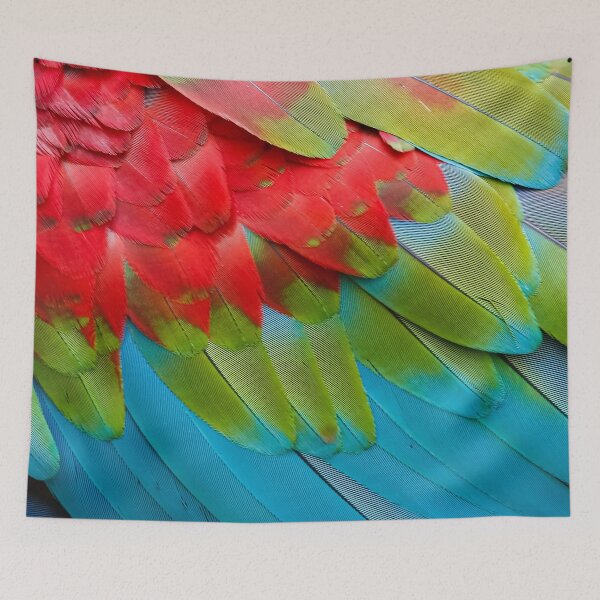 Item preview, Beautiful Red and Blue Parrot Feathers designed and sold by alderblight.