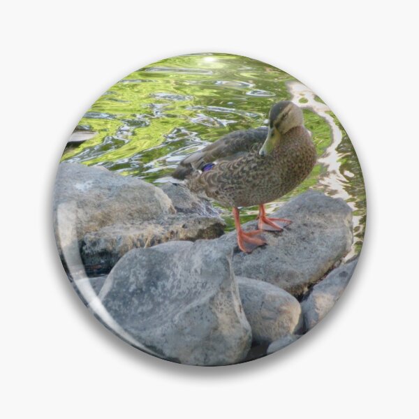 Item preview, Ducks on the Rocks designed and sold by Shulie1.