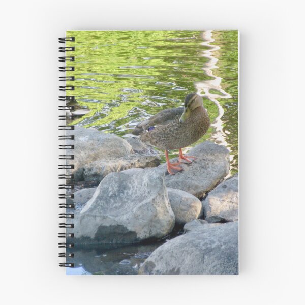 Item preview, Ducks on the Rocks designed and sold by Shulie1.