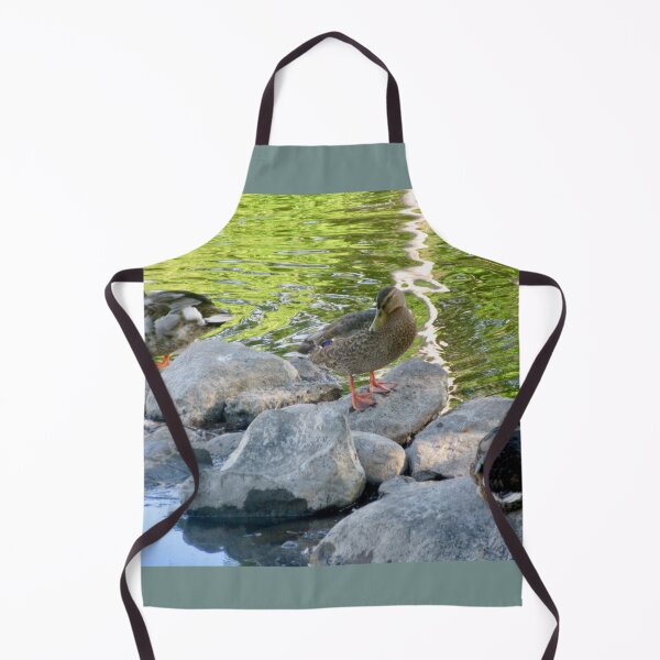 Item preview, Ducks on the Rocks designed and sold by Shulie1.