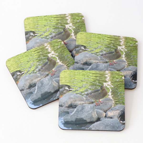 Item preview, Ducks on the Rocks designed and sold by Shulie1.