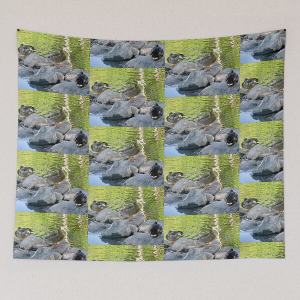 Item preview, Ducks on the Rocks designed and sold by Shulie1.