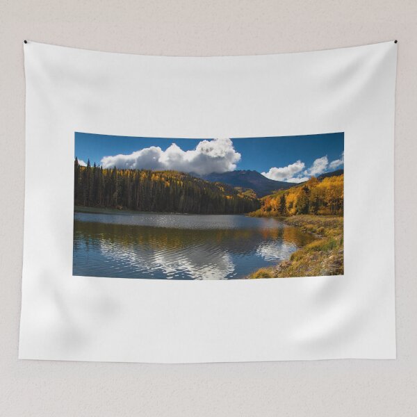 Item preview, Wood's Lake Aspen Reflections designed and sold by nbrandsberg.