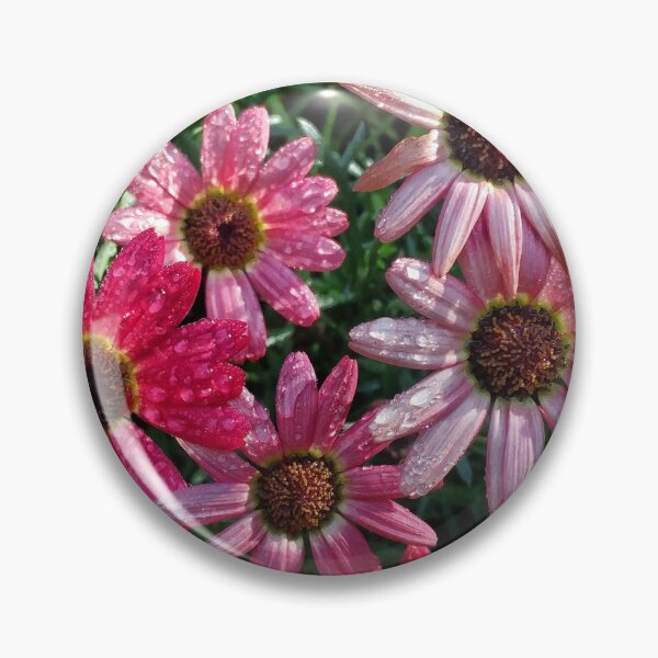 Item preview, Pink Asters designed and sold by The Rage Garden.