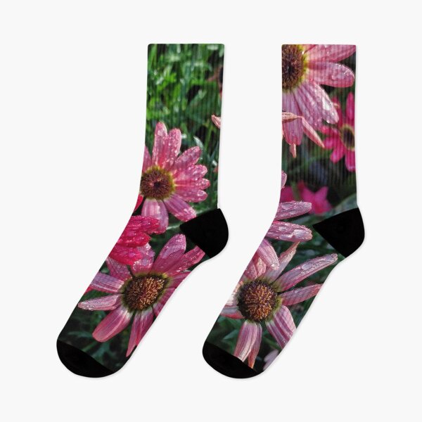 Item preview, Pink Asters designed and sold by The Rage Garden.