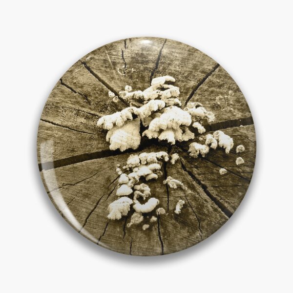 Item preview, Old log designed and sold by Gaspar Avila.