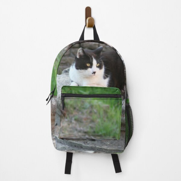 Item preview, Archaeologist Cat Resting on a Roman Column designed and sold by Anna Lemos.