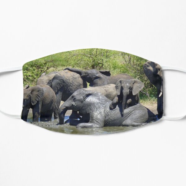Bathing Beauties. Mask
