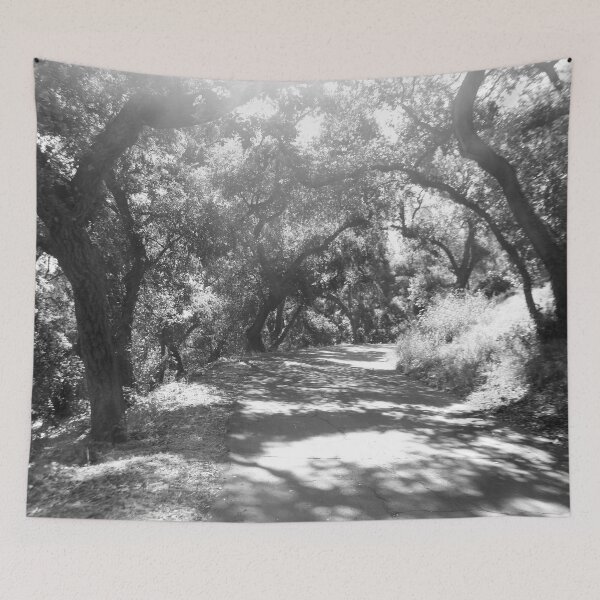 Item preview, forest designed and sold by MariannaPhotos.